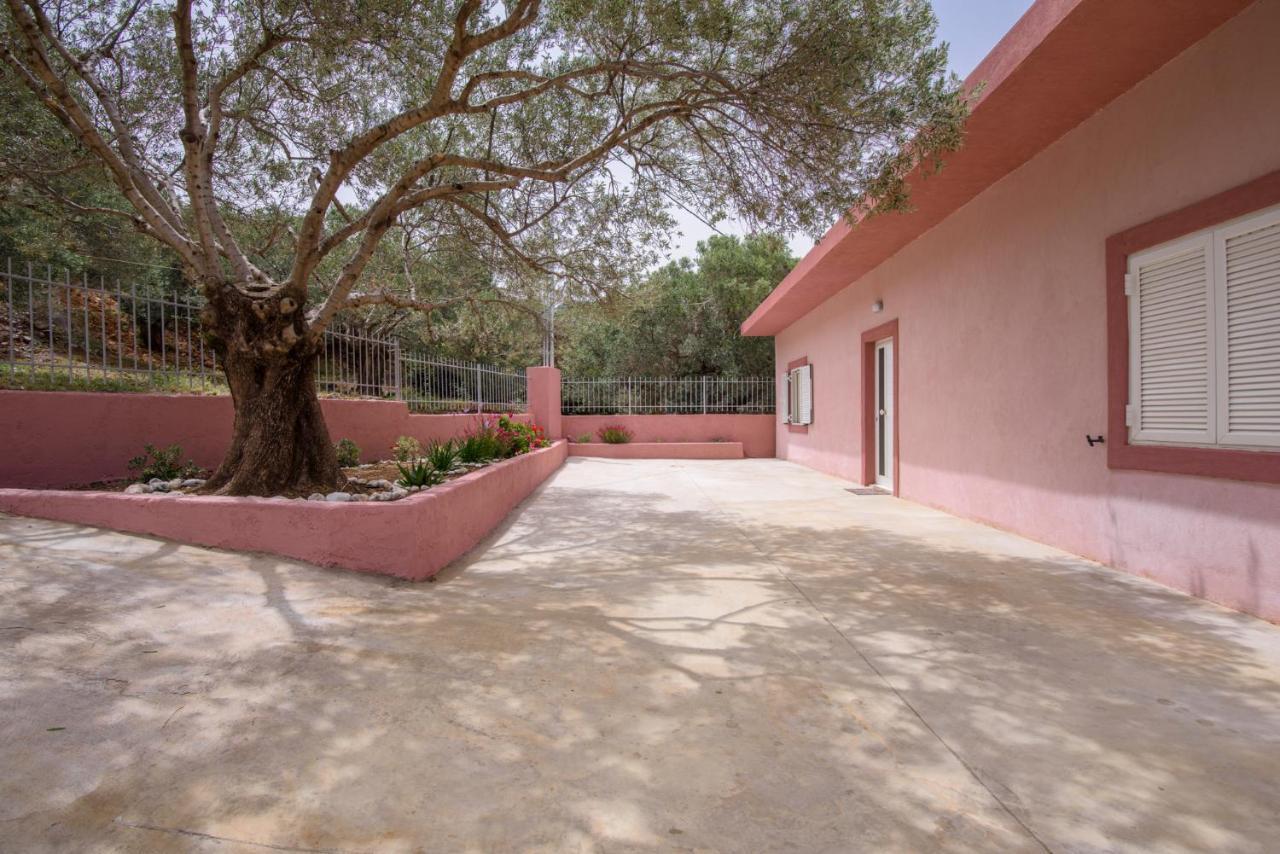 Palm Beach House Σφηνάρι Εξωτερικό φωτογραφία