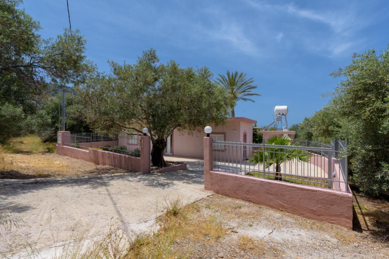 Palm Beach House Σφηνάρι Εξωτερικό φωτογραφία