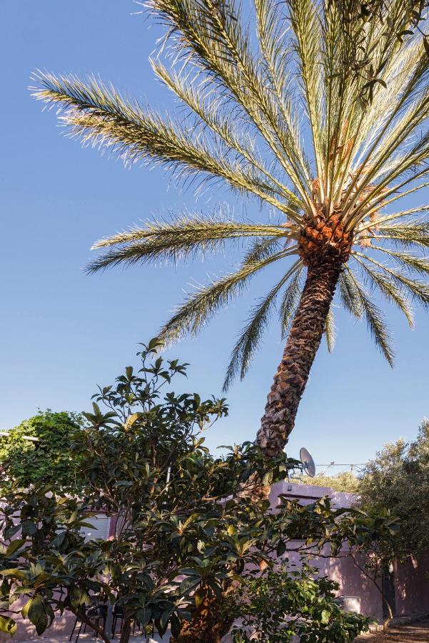 Palm Beach House Σφηνάρι Εξωτερικό φωτογραφία