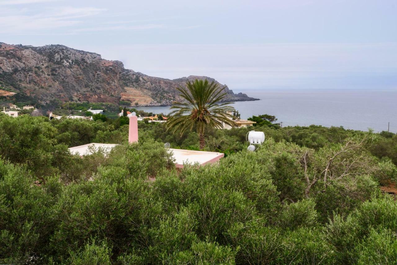 Palm Beach House Σφηνάρι Εξωτερικό φωτογραφία
